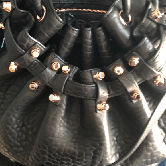 Alexander Wang Diego - Picture 2 of 4